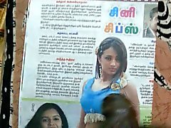 Gooey Cum Tribute to Indian Actress Tamil Actress Trisha