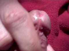 sunny glans close up masturbation