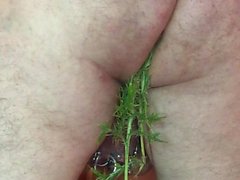 pierced slavedick ass stuffing