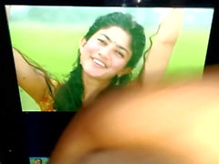 Sai Pallavi yummy cum tribute