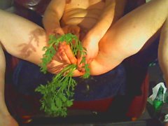 carrot stuffing