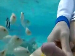 How to train your sperm to swim ! (une compil très aquadick)