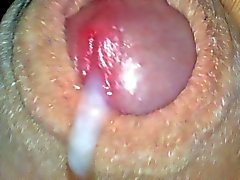 uncut cock, long orgasm watch cum calmly exit the tip