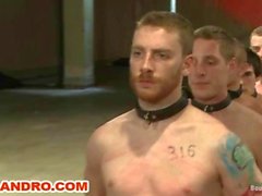 Five House Slaves Bound Beaten and Fucked in a Live Show