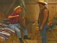 Cowboys in the stable use cock and dildo to fuck