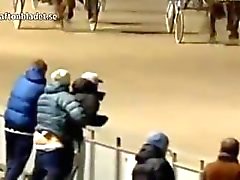 WTF Norweigan Gay Couple Caught Having Sex At A Horse Race !