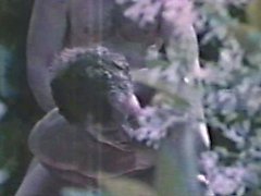 Gay Peepshow Loops 303 70's and 80's - Scene 3