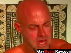 Mature raw bears ass fucking