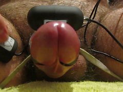 Tied down cockcumshot closeup