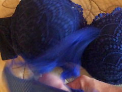 Jerking off with the other half of wifes bras and panties