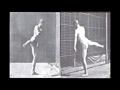 Muybridge's Male Nude Locomotion